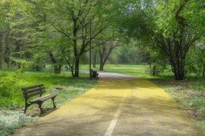 Manajemen Lingkungan