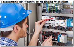 training electrical safety awareness murah