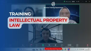 INTELLECTUAL PROPERTY LAW
